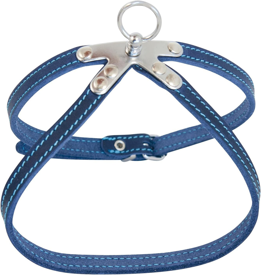 JACK AND VANILLA, Robustes Ledergeschirr für Hunde, individuelle Passform, verstärkte Sicherheit, Le