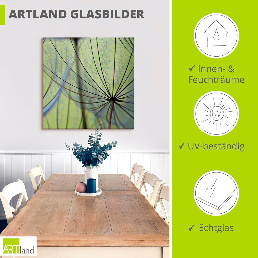 ARTland Glasbilder Wandbild Glas Bild einteilig 50x50 cm Quadratisch Natur Botanik Blumen Pusteblume