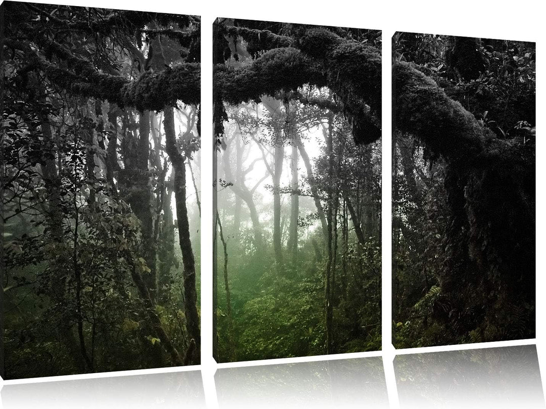 Regenwald in seiner ganzen Pracht schwarz/weiss 3-Teiler Leinwandbild 120x80 Bild auf Leinwand, XXL