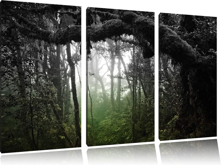 Regenwald in seiner ganzen Pracht schwarz/weiss 3-Teiler Leinwandbild 120x80 Bild auf Leinwand, XXL