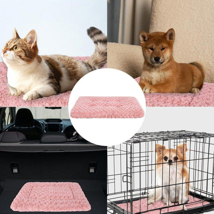 Selbstwärmendes Katzenbett, Ultrawarme, Weiche Haustiermatte Für Kleine Kätzchen, Welpen, Waschbare