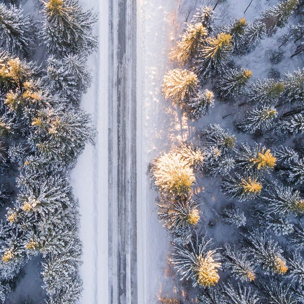 Feeby Wanddeko XXL Landschaft Leinwandbild 5 Teilig Winter Wald Bäume Weg bunt 100x70 cm Leinwandbil