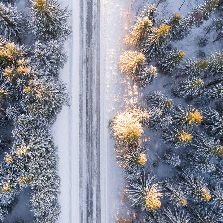 Feeby Wanddeko XXL Landschaft Leinwandbild 5 Teilig Winter Wald Bäume Weg bunt 100x70 cm Leinwandbil