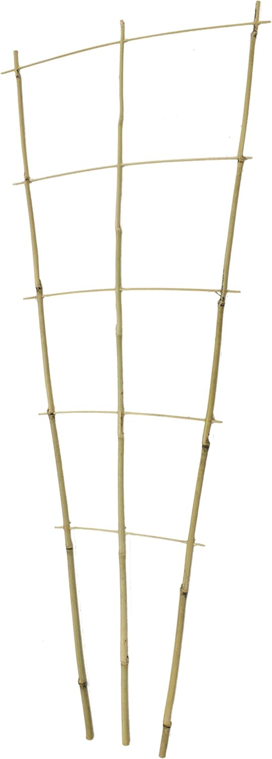 DARO DEKO Bambusrohr Rankgitter 44 x 110cm 40 Stück, 44 x 110cm 40 Stück