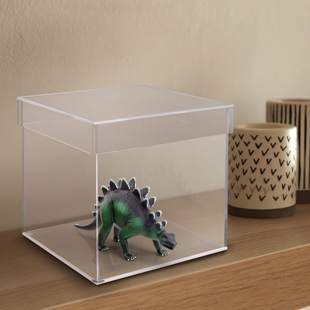 BELLE VOUS 5-Seitige Acrylbox mit Deckel - 20 x 20 x 20,5 cm - Kleine Transparente Box für Zuhause,