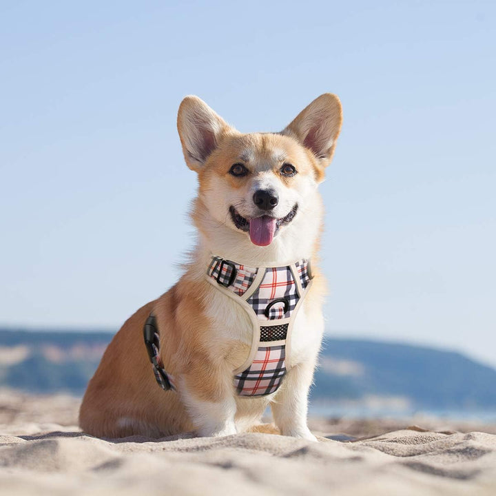 PoyPet Keine Pull Hundegeschirr Front Reflektierende Pet Weste für Hunde mit Einfache Kontrolle Grif