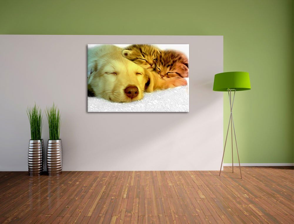 niedlicher Welpe kuschelt mit süssen Kätzchen schwarz/weiss Format: 100x70 auf Leinwand, XXL riesige