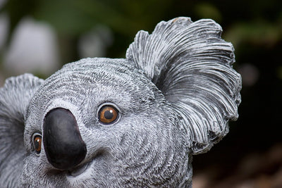 stoneandstyle Steinfigur Koala Bär, Frost- und wetterfest bis -30°C, massiver Steinguss