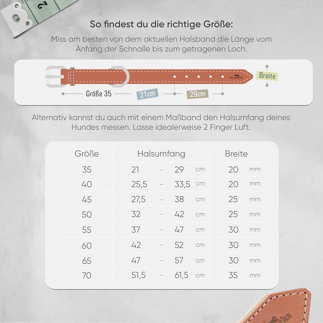 FREUDENTIER® Hundehalsband aus Leder, Made in Holland, gefüttert & super komfortabel, hochwertiges b