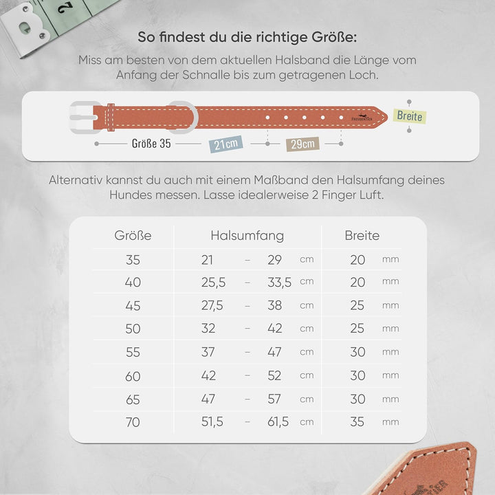 FREUDENTIER® Hundehalsband aus Leder, Made in Holland, gefüttert & super komfortabel, hochwertiges b