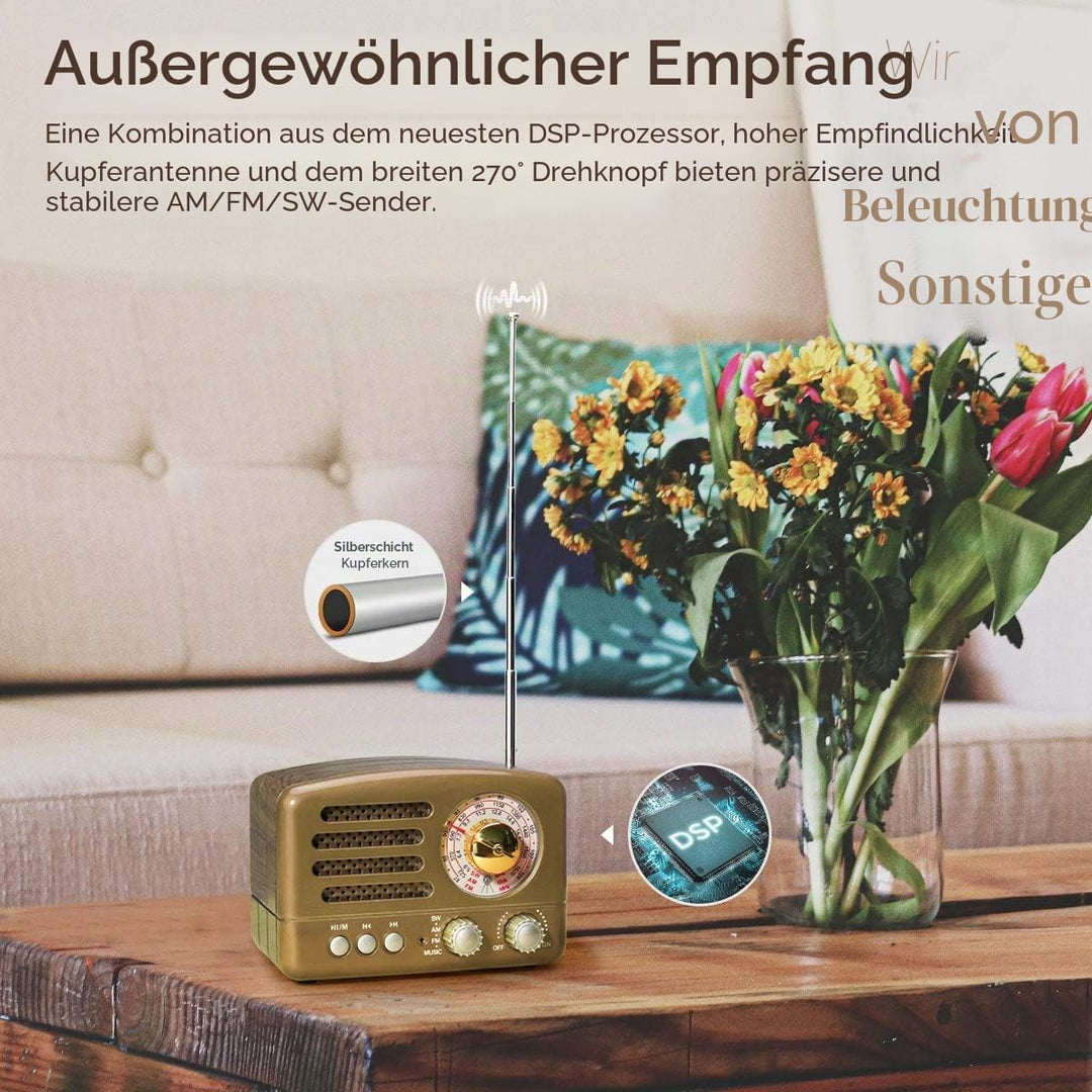 PRUNUS J-160 AM/FM/SW Retro Radio mit Bluetooth, Nostalgie Radio Klein mit 1800mAh Wiederaufladbare