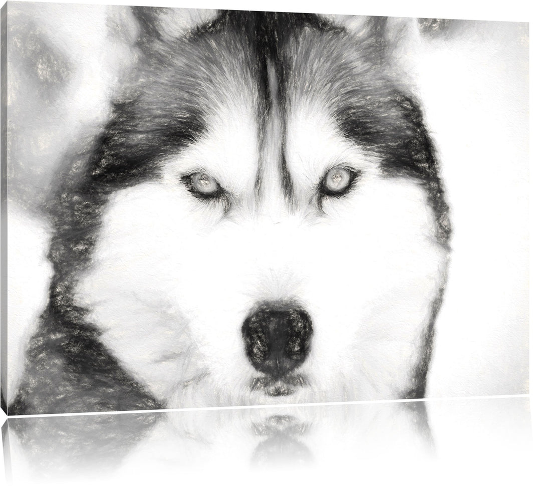 Husky Kohle Effekt, Format: 100x70 auf Leinwand, XXL riesige Bilder fertig gerahmt mit Keilrahmen, K