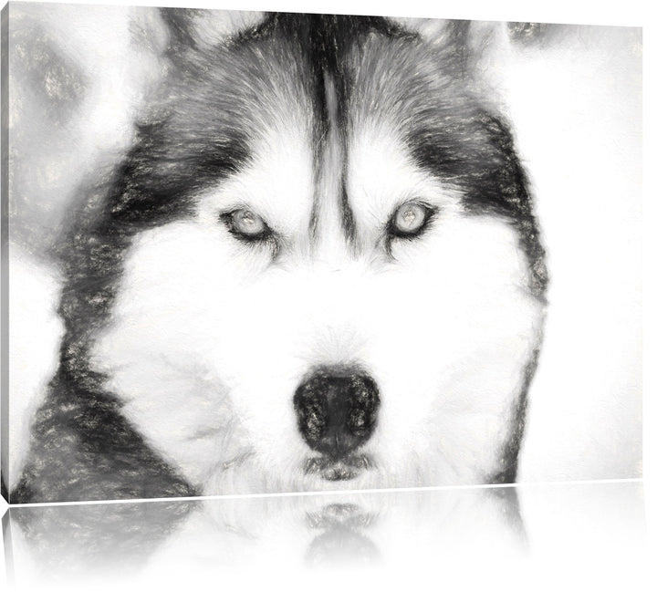 Husky Kohle Effekt, Format: 100x70 auf Leinwand, XXL riesige Bilder fertig gerahmt mit Keilrahmen, K