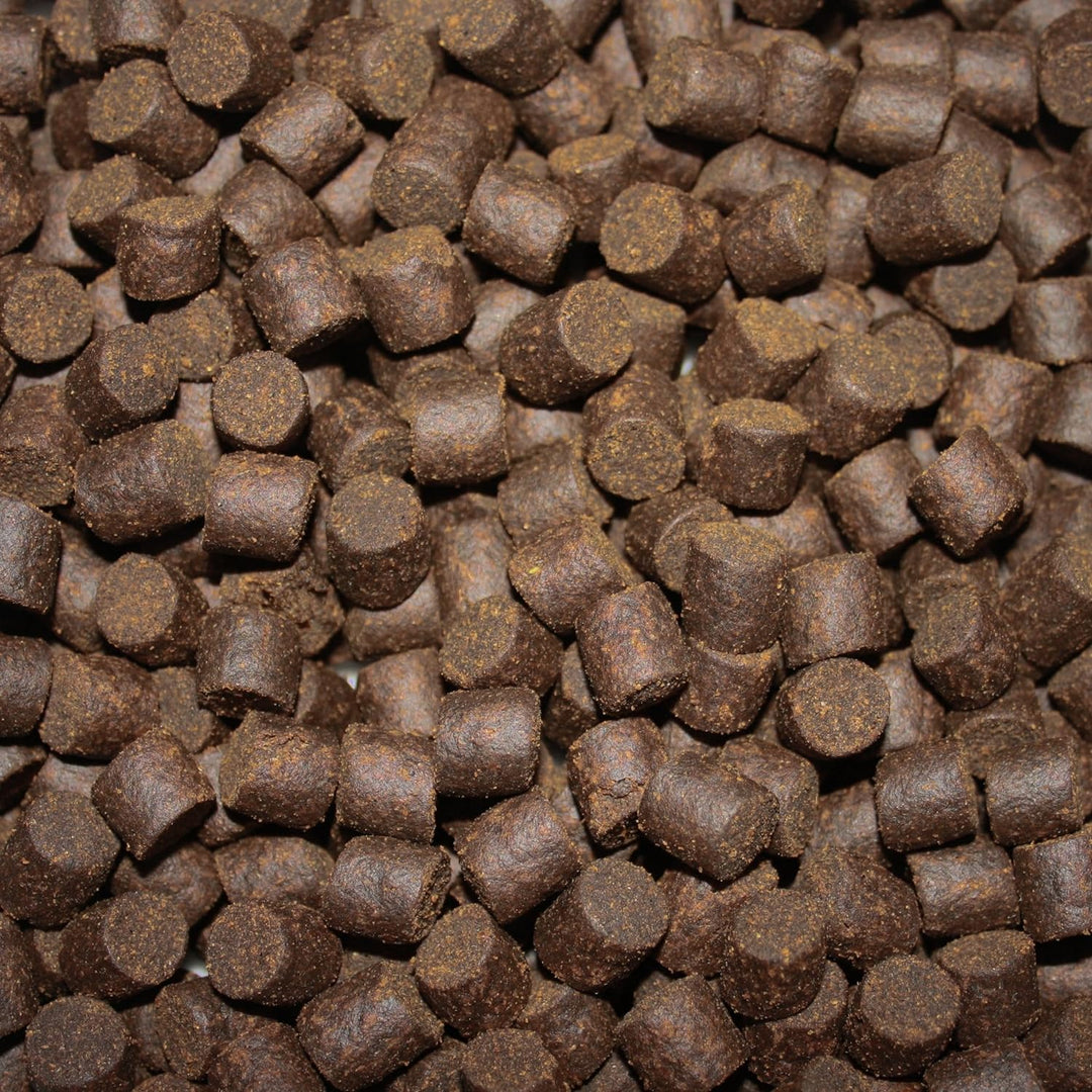 Tomodachi Störfutter gross, Energiefutter Stör perfekt für die ganzjährige Störfütterung, Störsinkfu