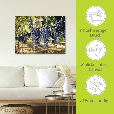 ARTland Leinwandbilder Wandbild Bild auf Leinwand 60x45 cm Natur Landschaft Toskana Weintrauben Früc