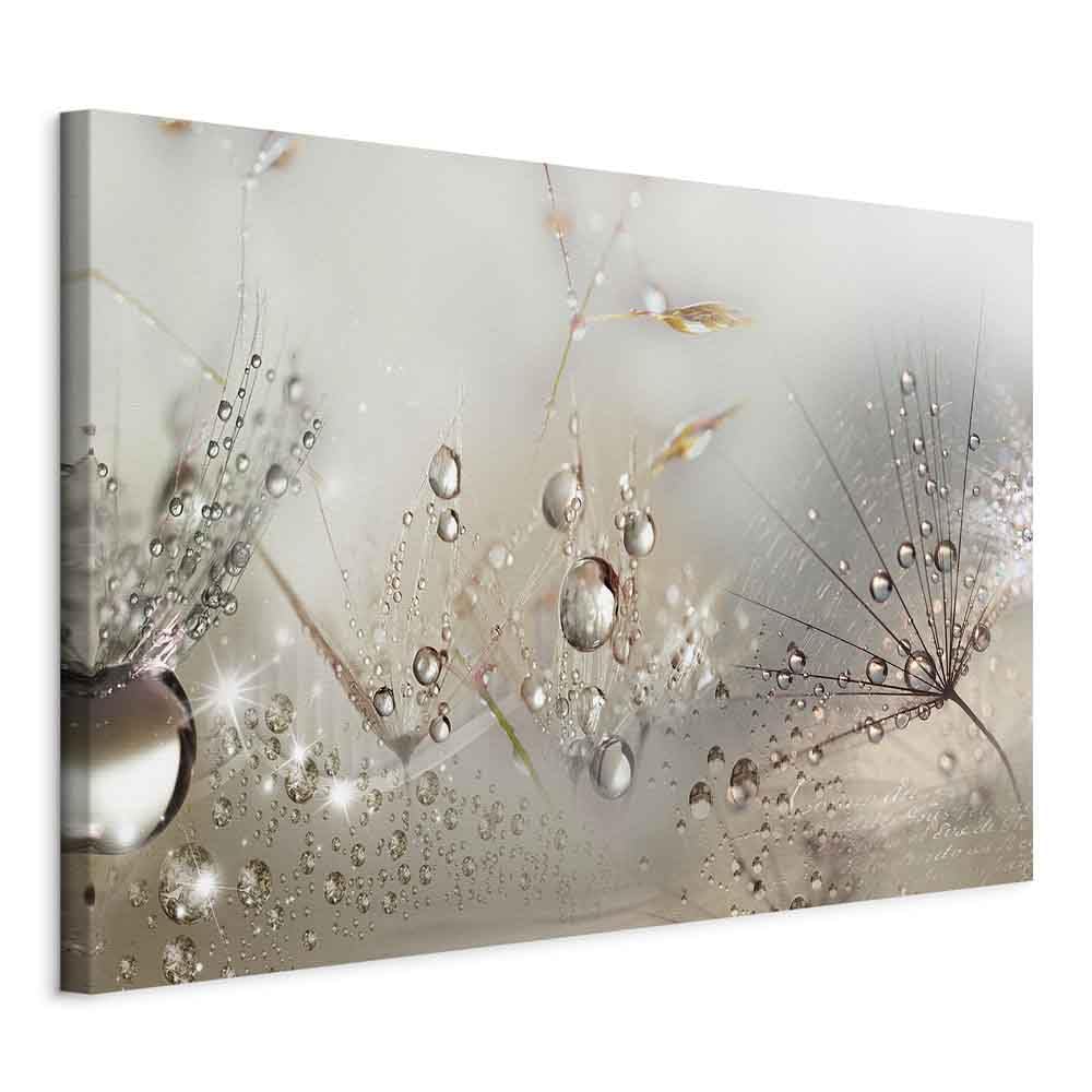 murando Akustikbild Pusteblume 120x80 cm Bilder Akustikschaum Hochleistungsschallabsorber Schallschu