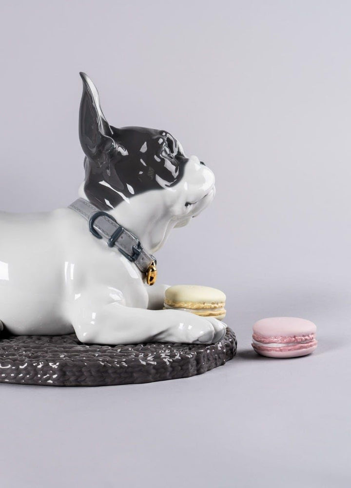 LLADRÓ French Bulldog with Macarons Dog Figurine. Bulldogge. Porzellan.