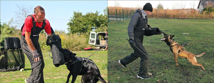 Dingo Gear Schutzarm Profilierte Helfer für einen Hund Training Reifer Hund IGP Recht Weich Keil S00