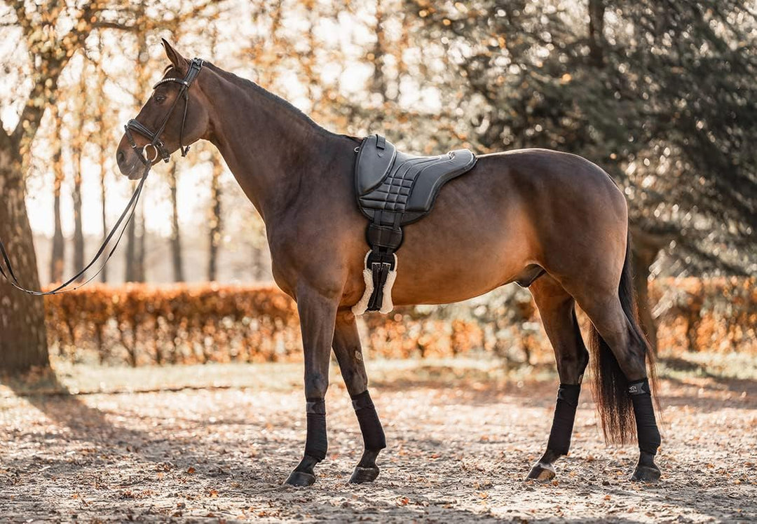 Equinate Reitpad Stella aus synthetischem Leder Pony Schwarz - Bareback Pad mit pflegeleichter Neopr