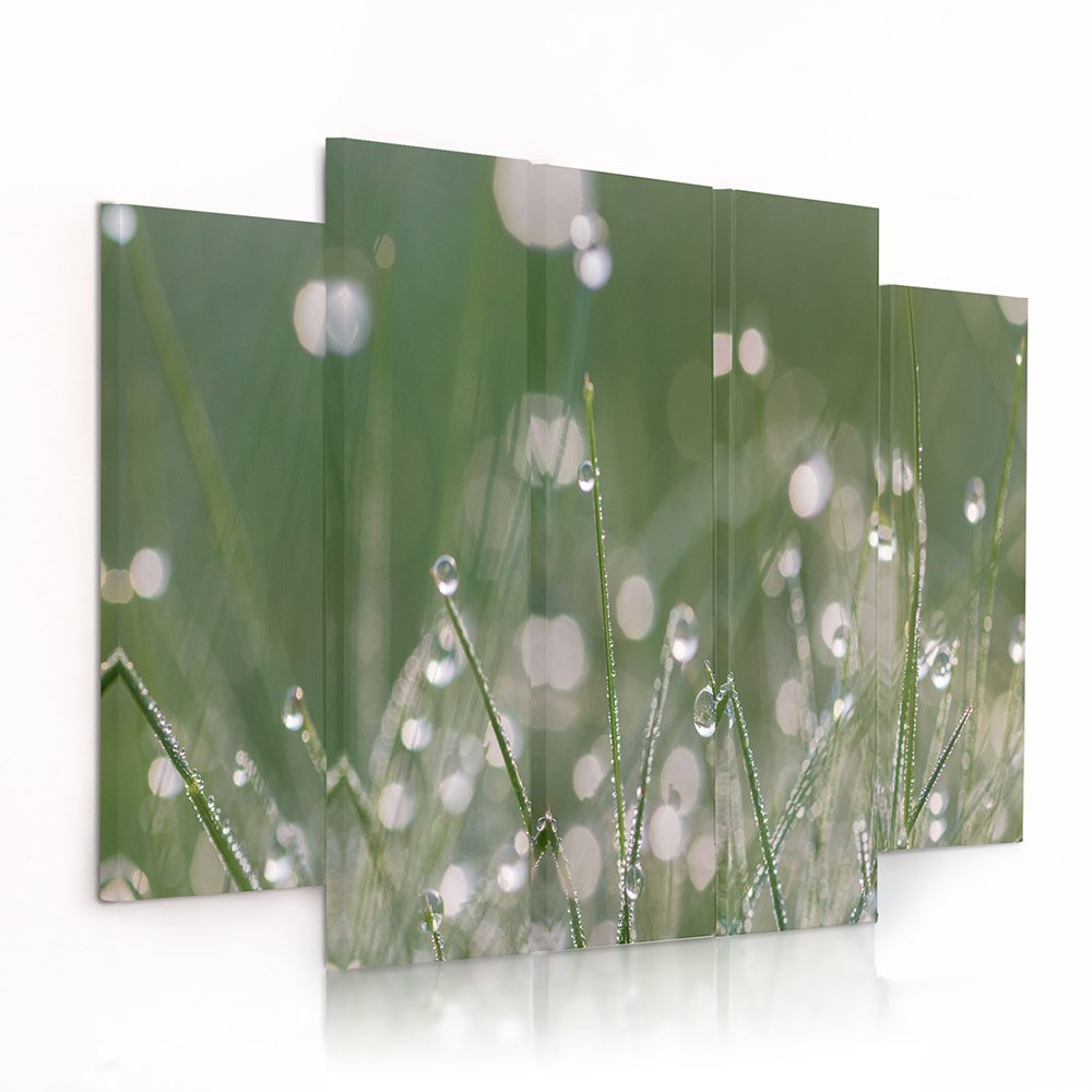 Feeby Frames, Leinwandbild Bilder Wand Bild - 5 Teile - Wandbilder Kunstdruck (TAUTROPFEN GRAS, GRÜN