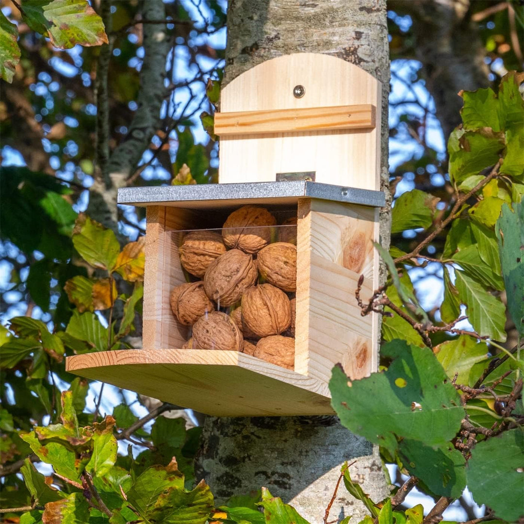 VOSS.garden Eichhörnchen Futterstation, grosse Sitzplatte, Futterhaus witterungsbeständig
