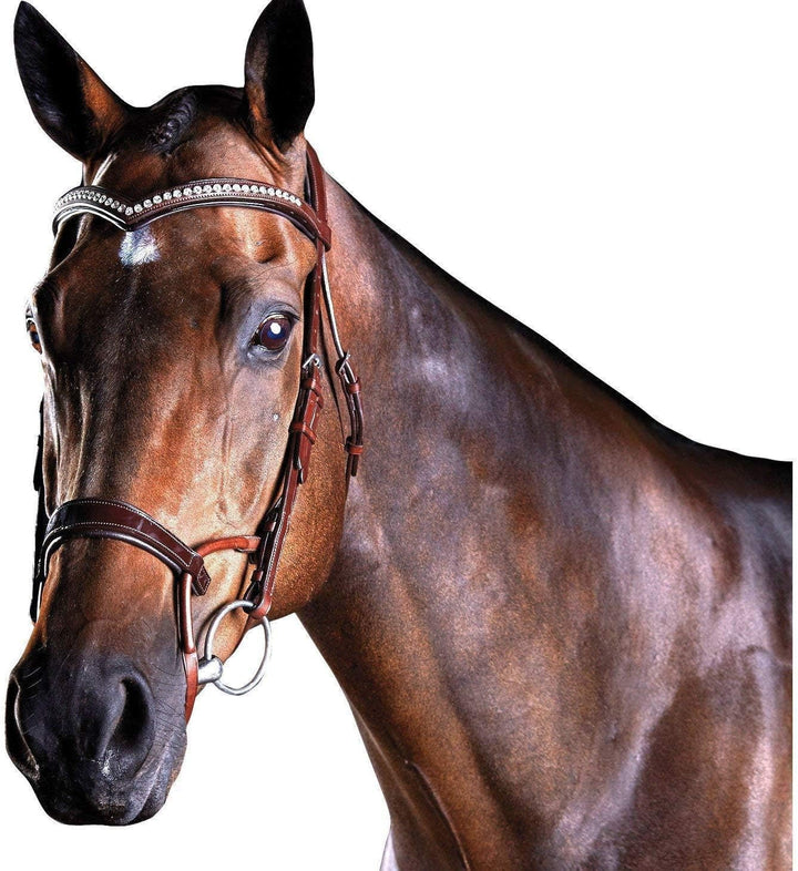Collegiate ComFiTec Patent Snaffle Bridle Cob, Cob