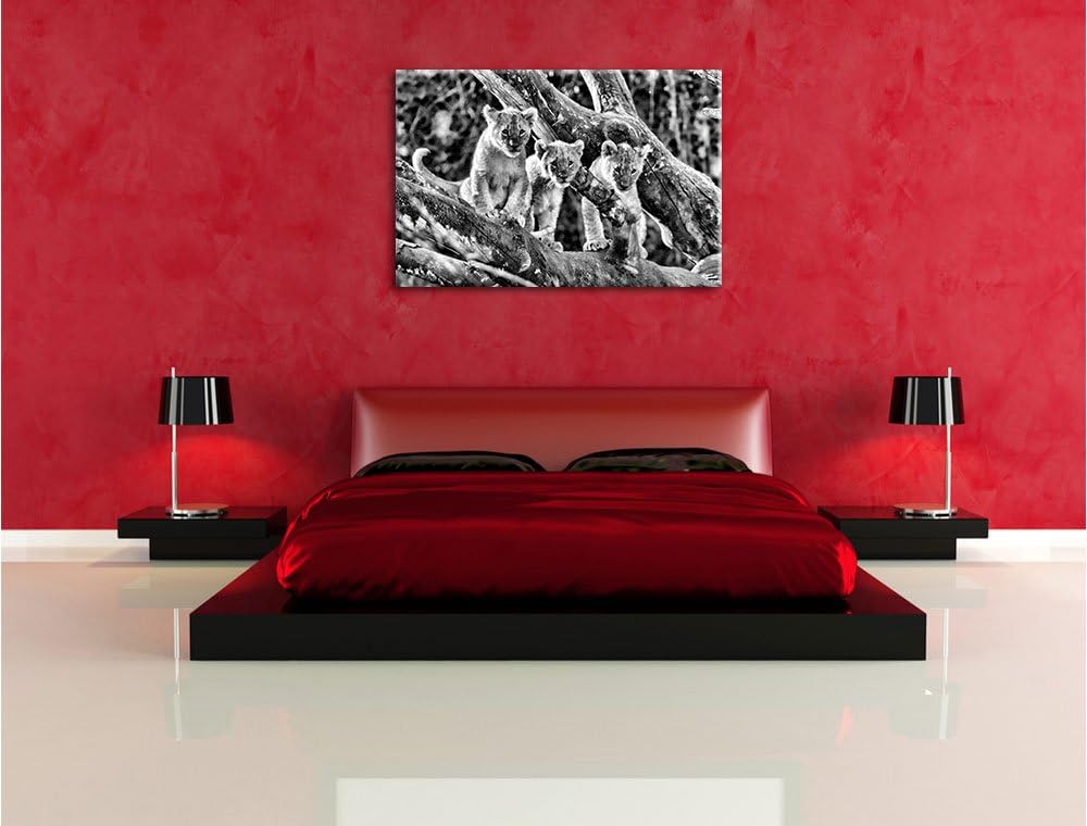 Pixxprint süsse Löwenjunge auf Baum / 100x70cm Leinwandbild bespannt auf Holzrahmen/Wandbild Kunstdr