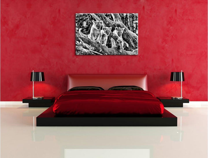 Pixxprint süsse Löwenjunge auf Baum / 100x70cm Leinwandbild bespannt auf Holzrahmen/Wandbild Kunstdr