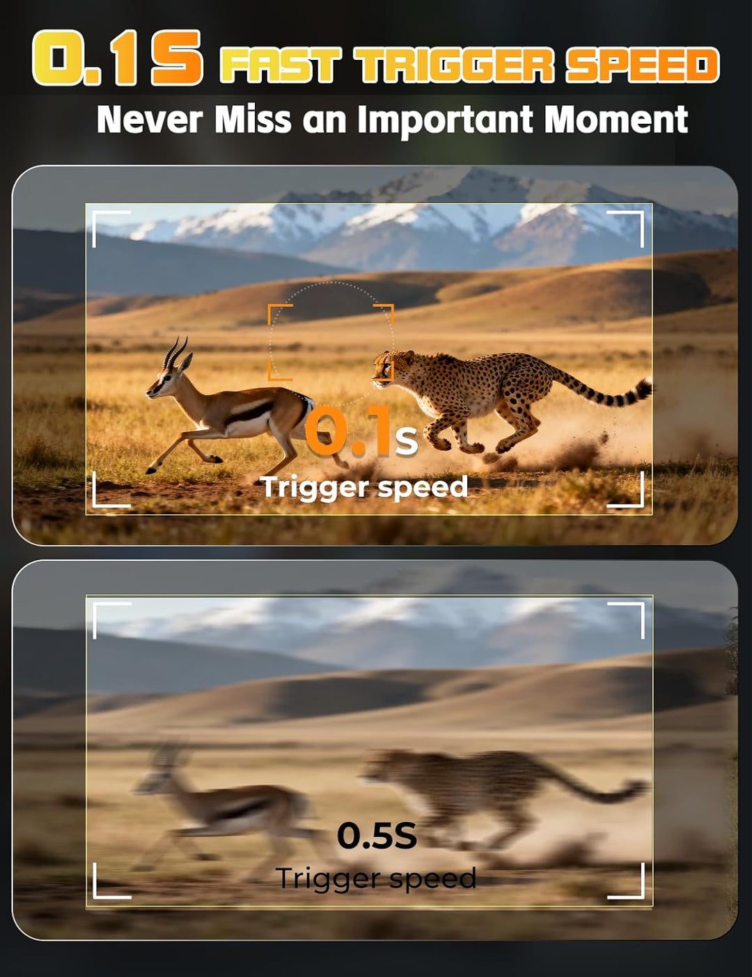 Wildkamera, Video 4K H.264 60MP mit 10000mAh Akku