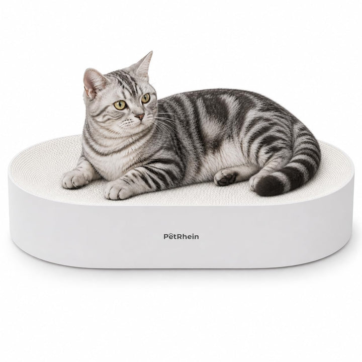PetRhein Kratzbrett, kratzbretter Katze aus Erstklassiger Wellpappe,kratzmatte für Katzen zum Spiele