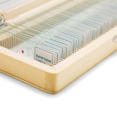 SWIFT 50 Vorgefertigte Mikroskop-Dias Set für die Biologische Wissenschaft, mit Holzkoffer PS50, PS5