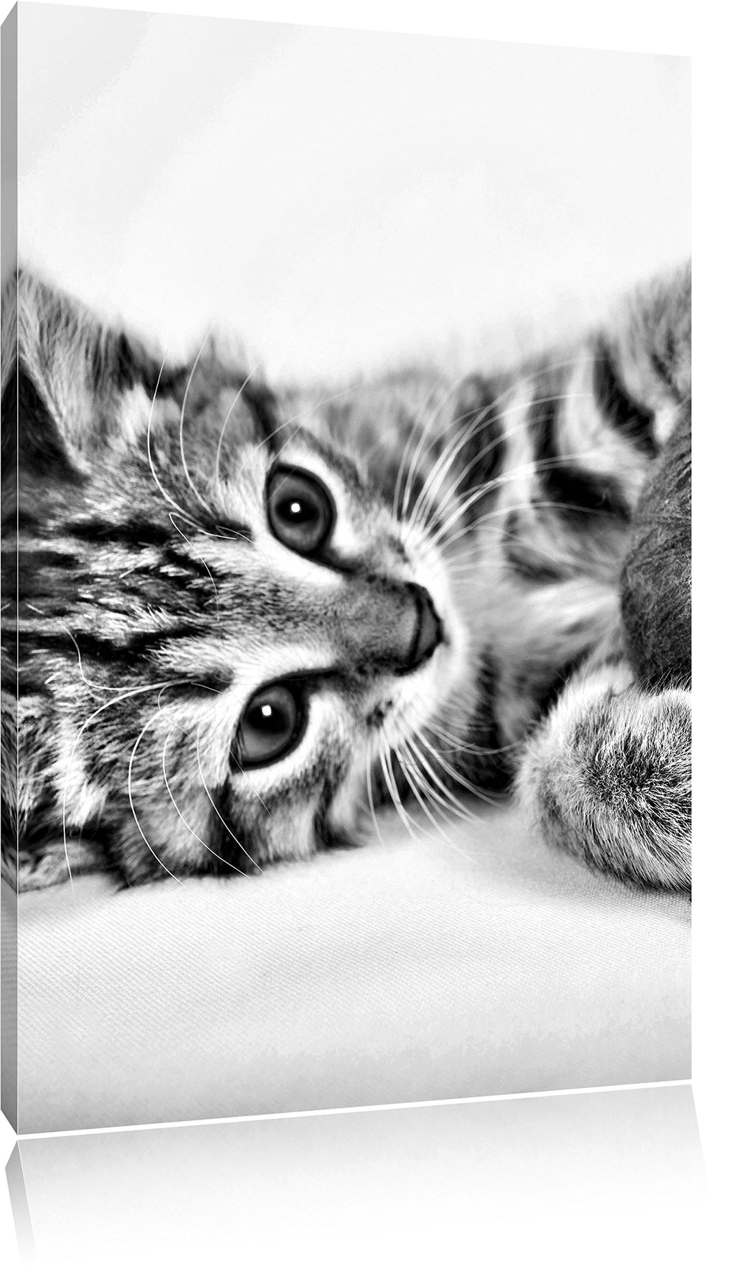 Pixxprint Monocrome, Kätzchen mit Wollknäul, Format: 100x70 auf Leinwand, 100x70