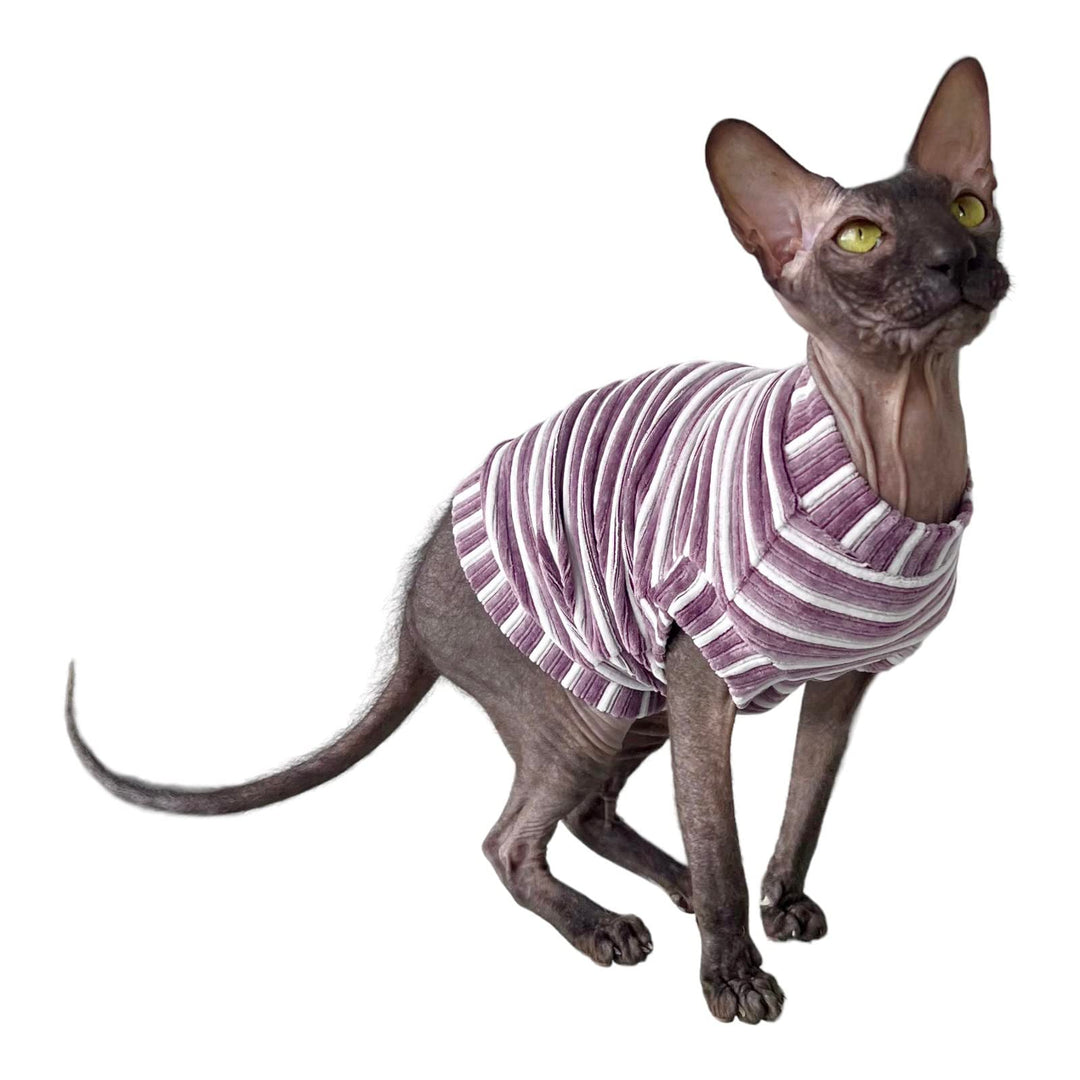 Kotomoda Katzen Kleidung Cord lila Streifen fur Sphynx Katzen (XS), XS