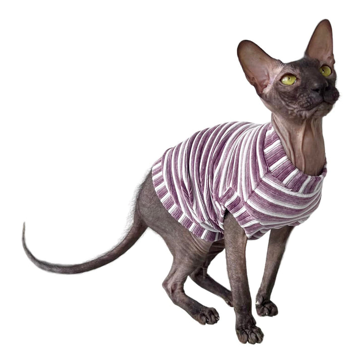 Kotomoda Katzen Kleidung Cord lila Streifen fur Sphynx Katzen (XS), XS