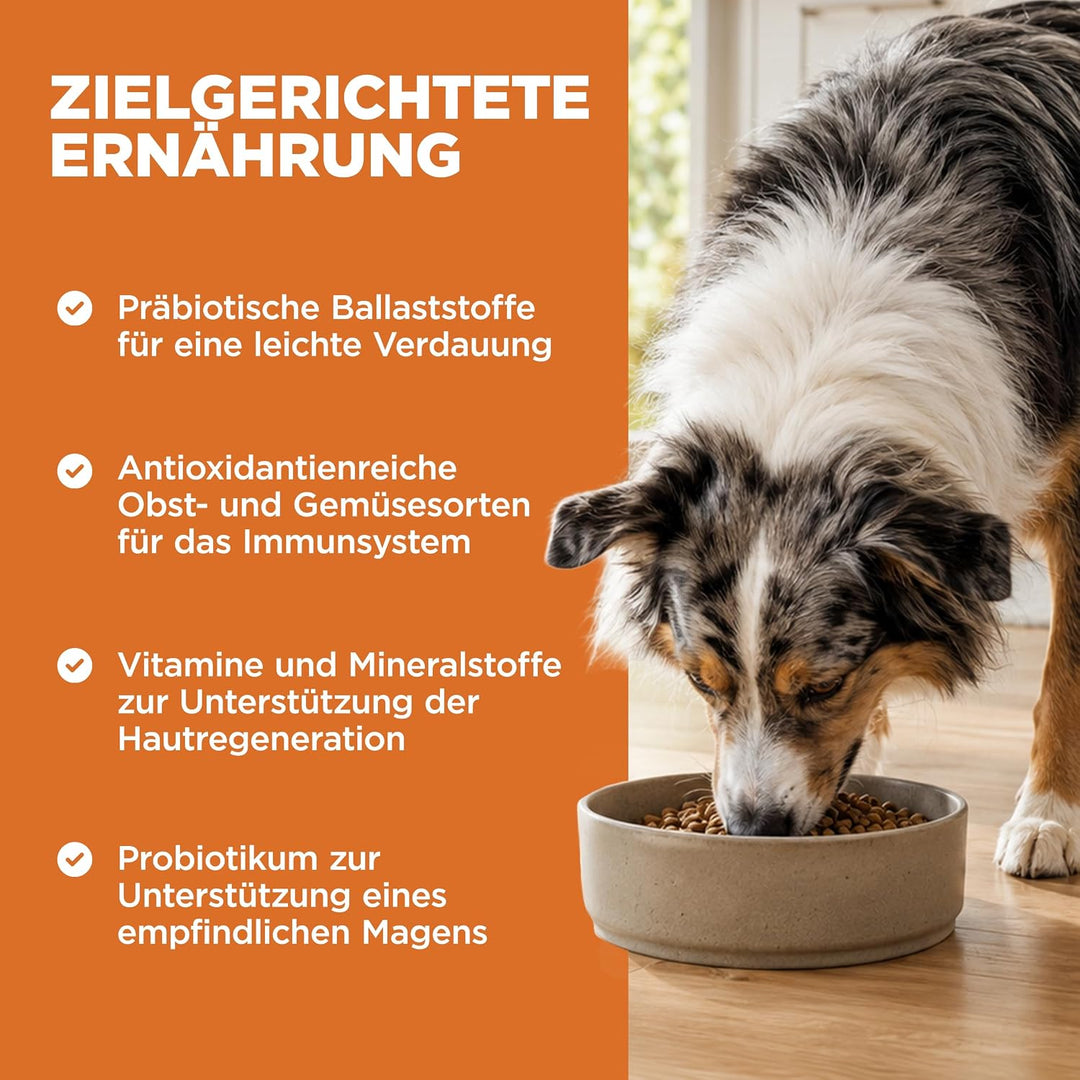 Go! Solutions Skin + Coat Care Getreidehaltige Rezeptur für Hunde Lachs, 1,6-kg-Beutel