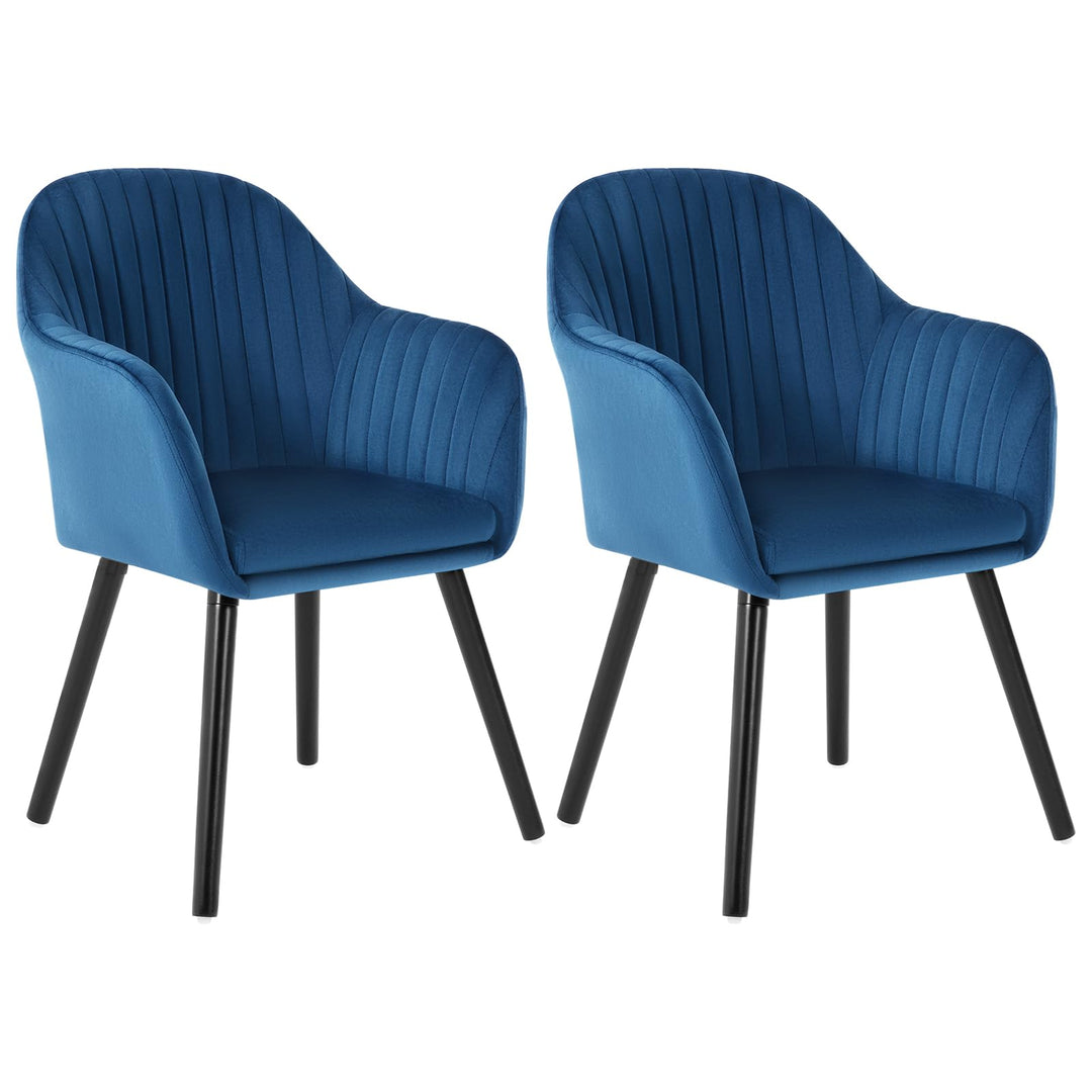 WOLTU Esszimmerstühle 2er Set, für Schlafzimmer Küche Wohnzimmer, Küchenstühle gepolstert mit Armleh