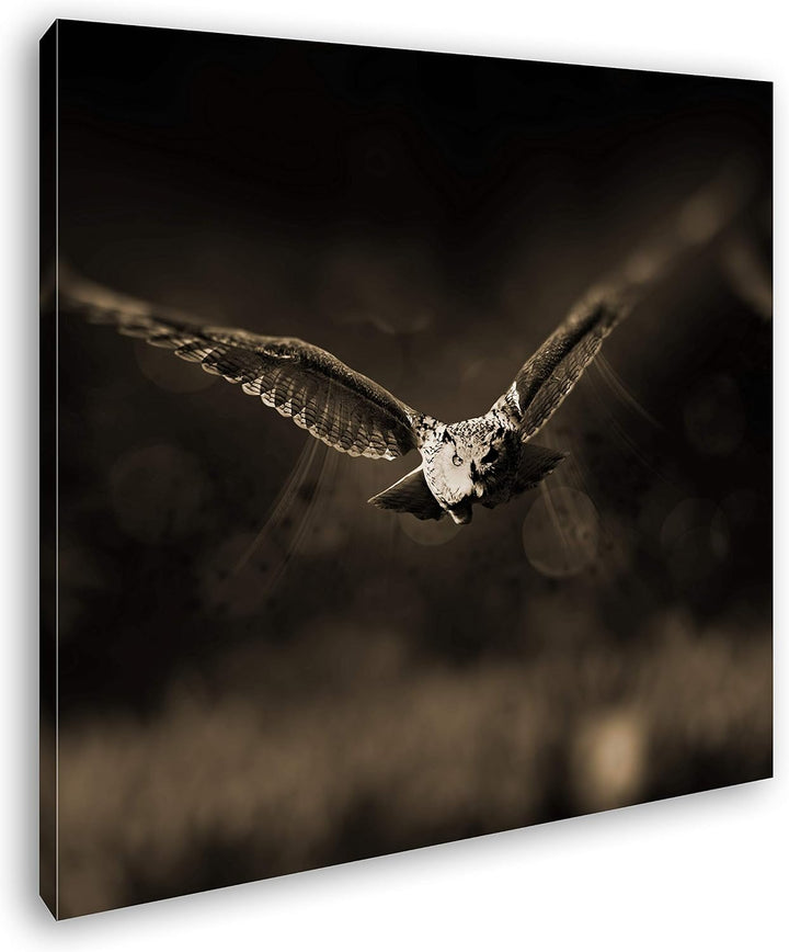 atemberaubende Eule auf der Jagd im Format: 70x70 Effekt: Sepia als Leinwandbild, Motiv auf Echtholz