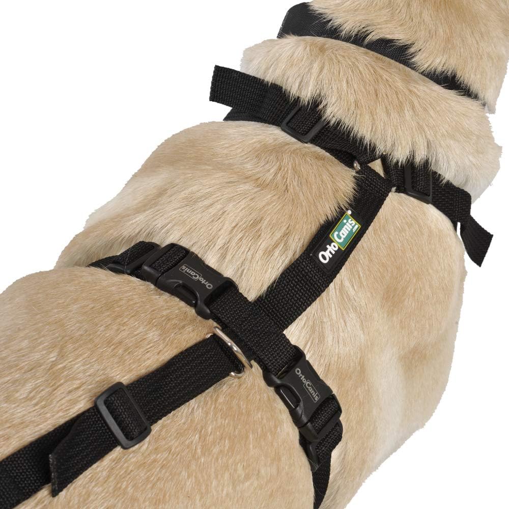 Ortocanis - Ganzkörper-Hundegeschirr zur Unterstützung von Vorder- und Hinterbeine, Grösse S Grösse