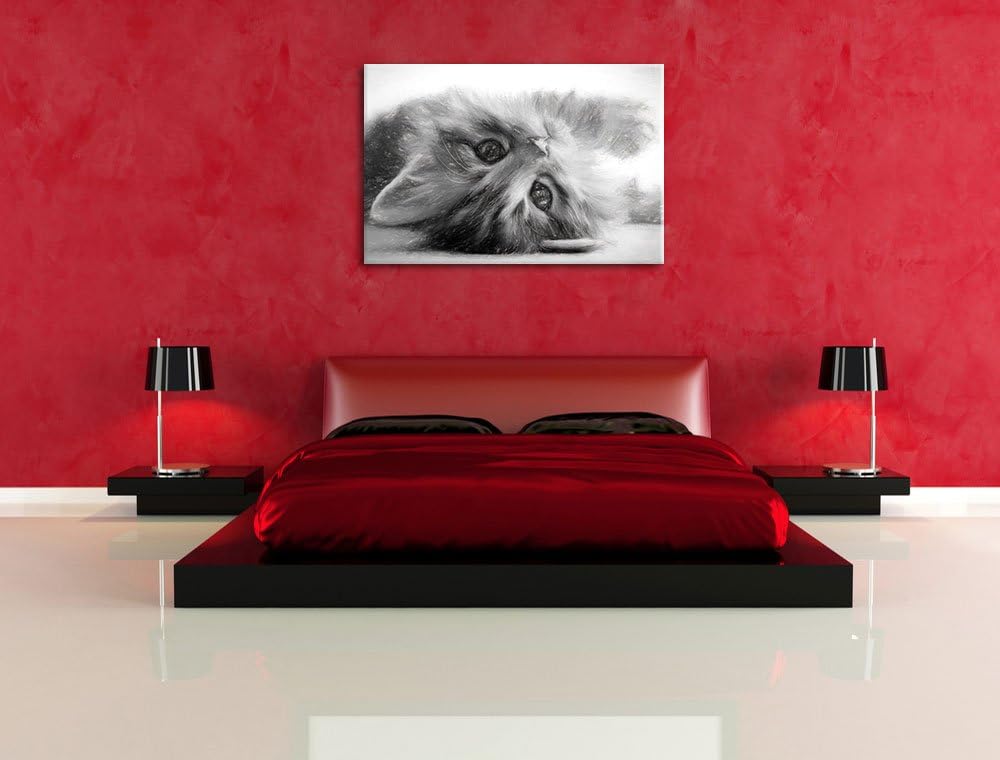 Pixxprint Süsses Katzenbaby als Leinwandbild/Grösse: 100x70 / Wandbild/Kunstdruck/fertig bespannt, 1