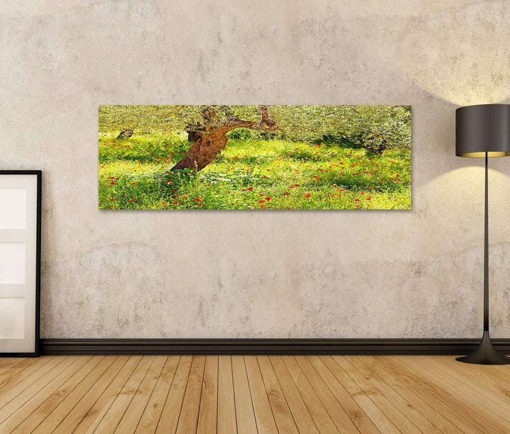 islandburner Bild auf Leinwand Mohnblumen Wiese Baum Bilder Wandbilder Poster Leinwand 120x40cm - Pa