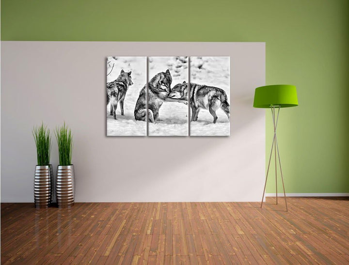 Pixxprint Monocrome, spielendes Wolfsrudel 3-Teiler Leinwandbild 120x80 Bild auf Leinwand