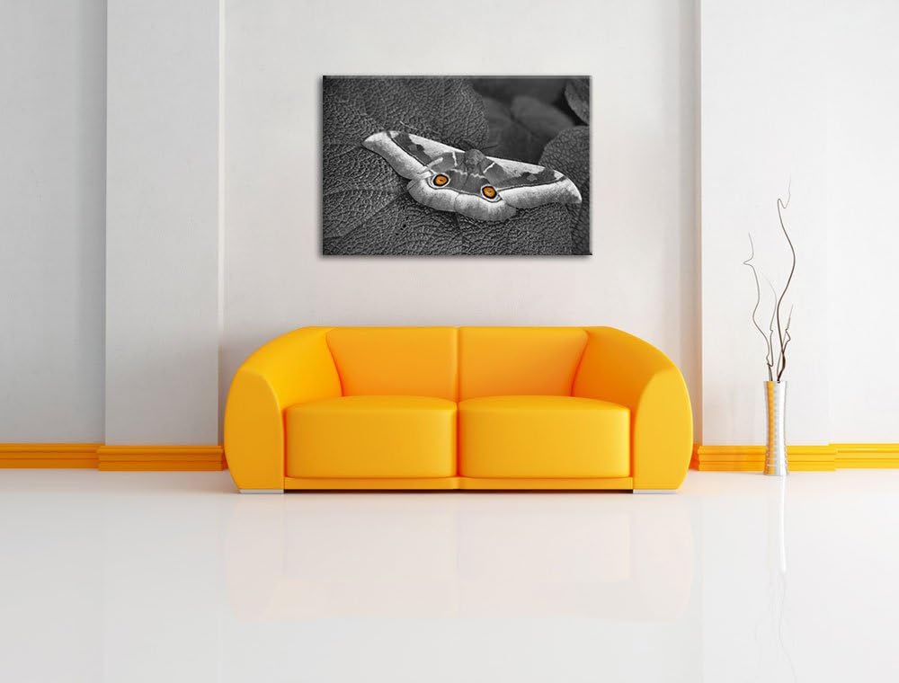 aussergewöhnlicher Schmetterling auf Blatt schwarz/weiss auf Leinwand, XXL riesige Bilder fertig ger