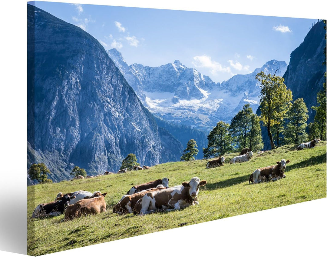 islandburner, Bild auf Leinwand Kühe am Karwendelgebirge in Österreich Wandbild Poster Leinwandbild