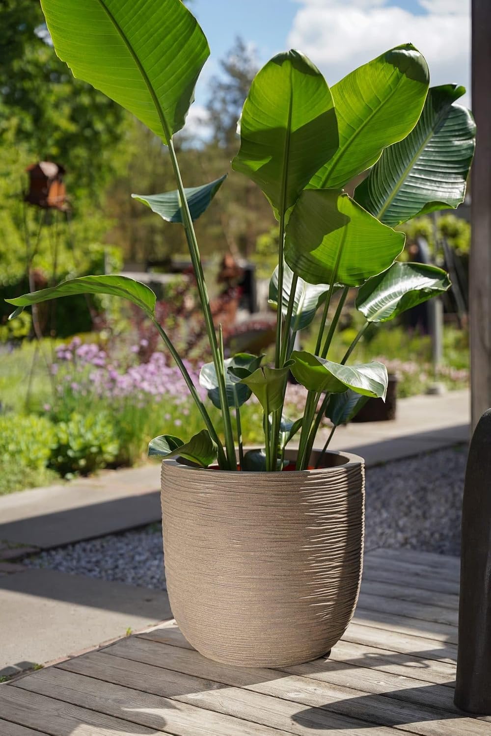 Capi Europe - Blumentopf Kugel Rib NL - 43x41 - Dunkelgrau - Öffnung Ø35 - Blumentopf für den Innen-