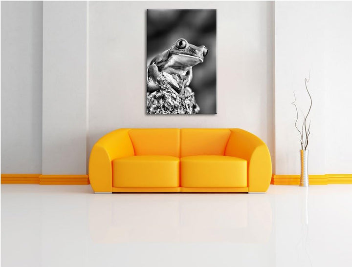 Pixxprint Grüner Rotaugen Frosch als Leinwandbild/Grösse: 100x70 / Wandbild/Kunstdruck/fertig bespan