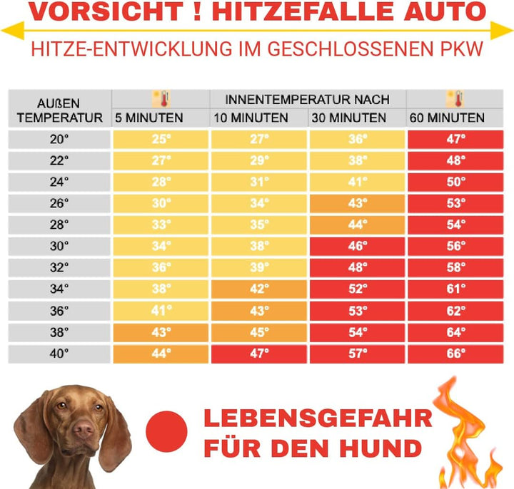 Rosi's Barf-Glück XL Schattennetz Auto 4x6 für Hunde 4x6 m – 24m² Alu UV Sonnenschutz Hitzeschutz Al