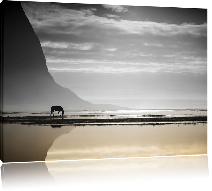 Pixxprint Pferd am Ufer Einer Insel als Leinwandbild | Grösse: 100x70 cm | Wandbild| Kunstdruck | fe