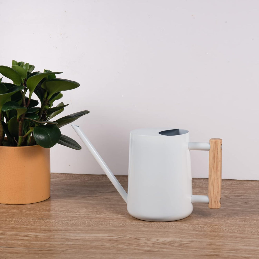IMEEA Giesskanne Klein 1L Giesskanne Edelstahl Indoor & Outdoor Giesskanne mit langem Auslauf Bewäss