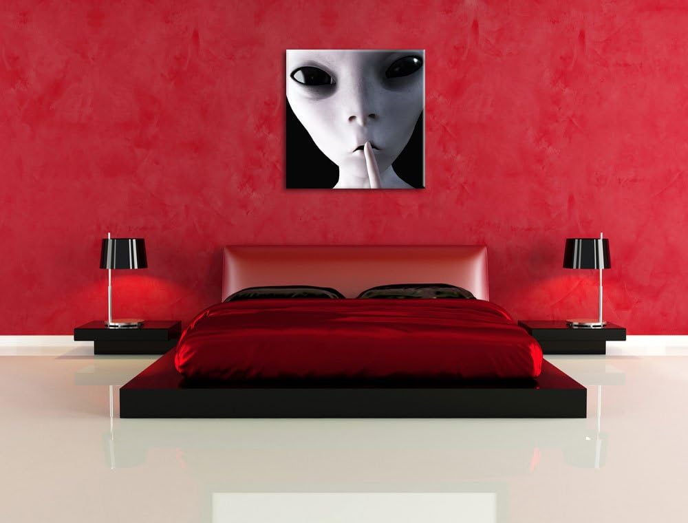 Alien - nicht reden, Format: 70x70 auf Leinwand, XXL riesige Bilder fertig gerahmt mit Keilrahmen, K