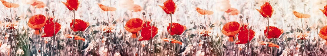 DIMEX Küchenrückwand Folie selbstklebend Mohnblumen | Klebefolie - Dekofolie - Spritzschutz für Küch